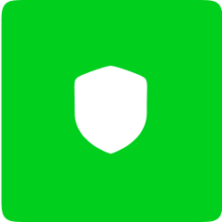 Security Standards Icon